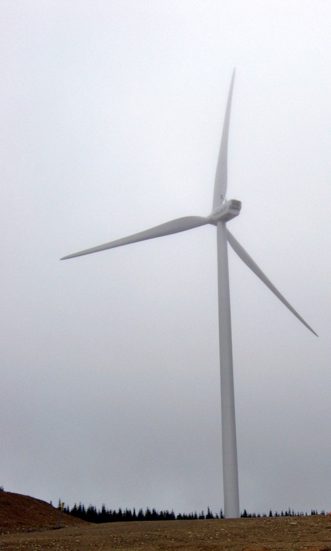 the Project - Tumbler Ridge Wind Energy EIA Review